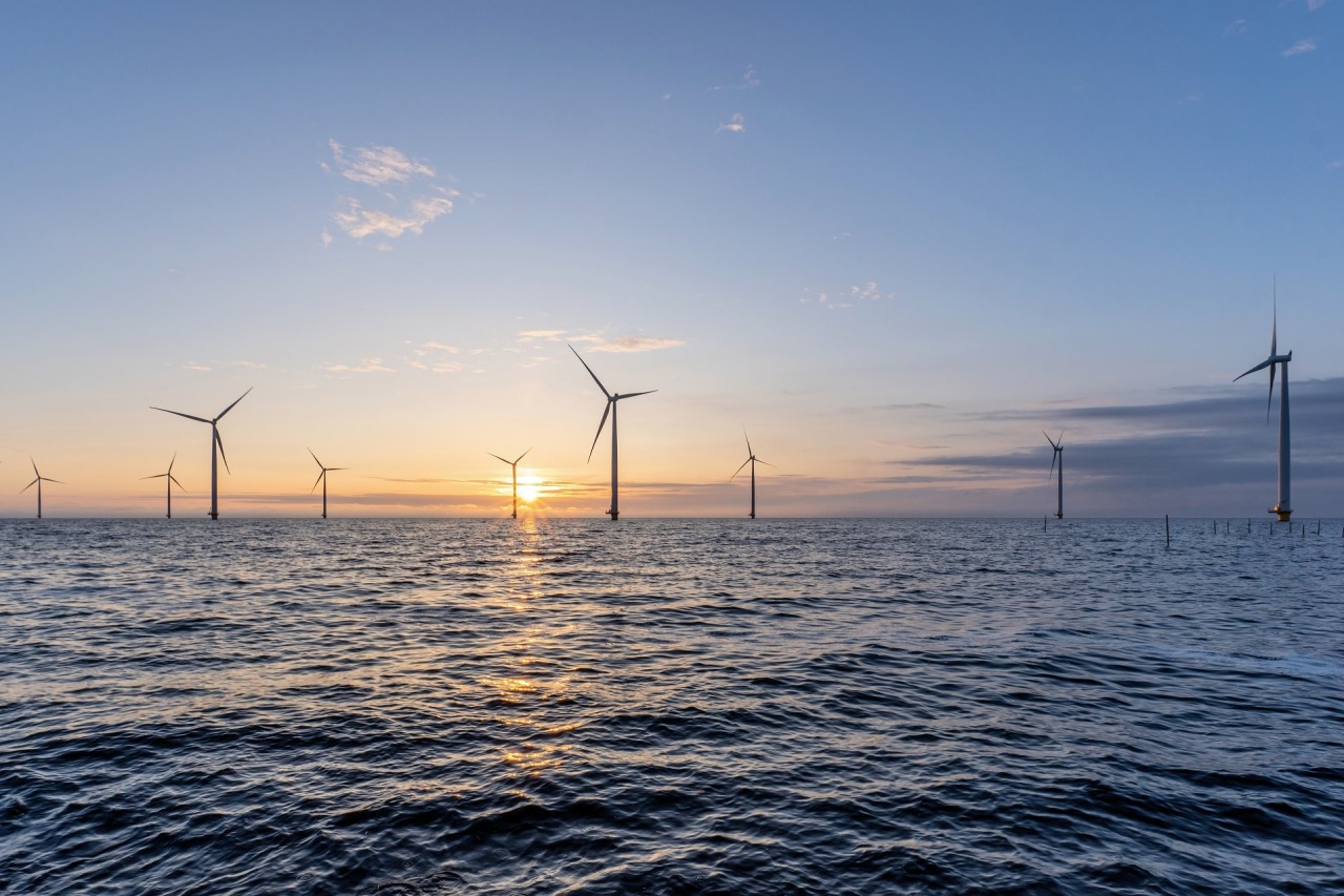 offshore wind farm at sunset